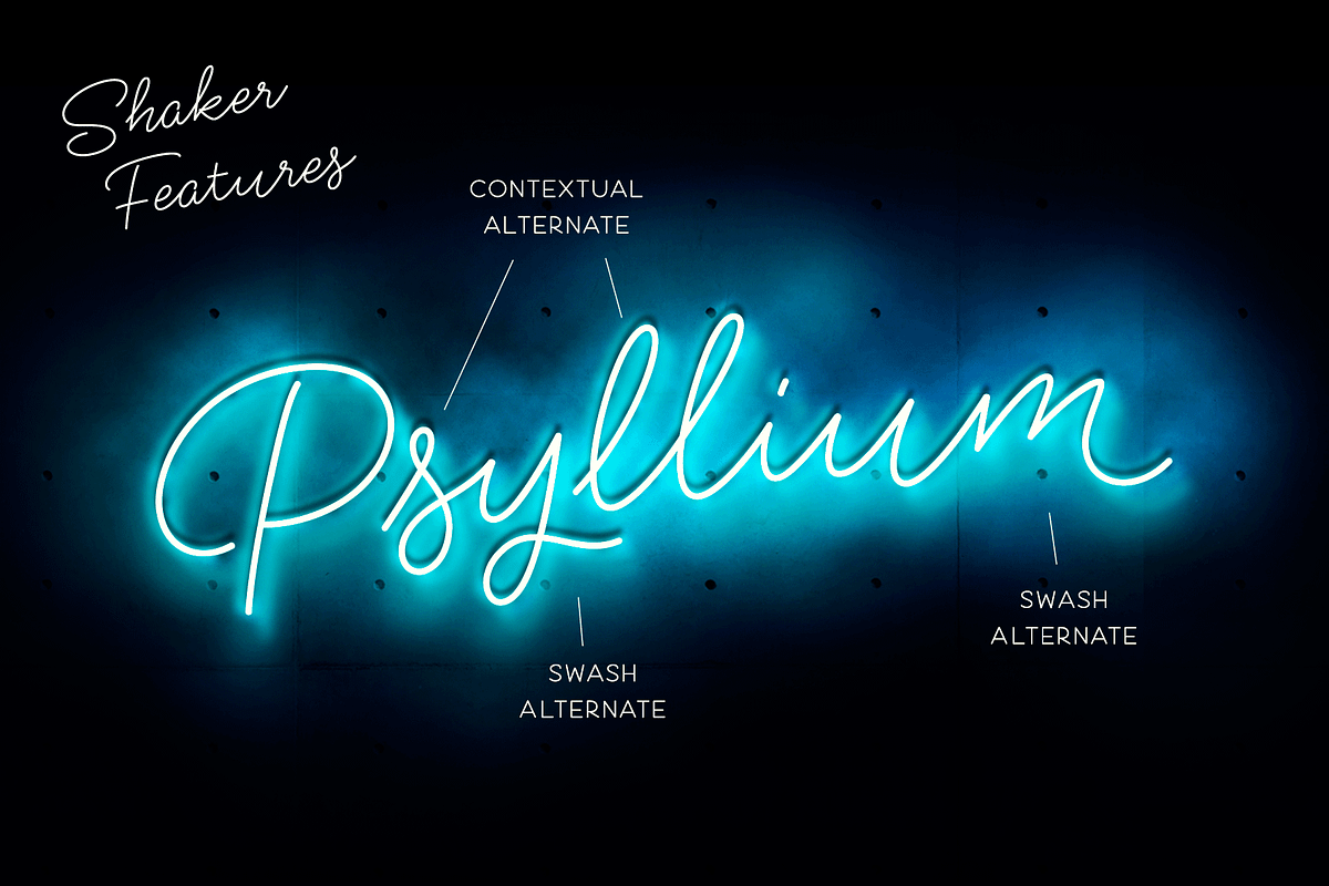 Shaker Script, a Script Font by Fenotype (Photo 2 of 7)