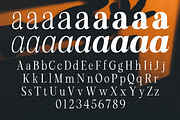 Arviel – Bold Editorial Serif Family, a Serif Font by roomspace creative lab (Thumbnail 13 of 13)
