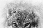 Sketch Photoshop Action, an Action Add-On by Sevenstyles (Thumbnail 9 of 22)
