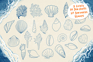 Seashells Driftwood Procreate Set