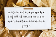Eilysa Luise, a Script Font by Essentials Studio (Thumbnail 9 of 11)