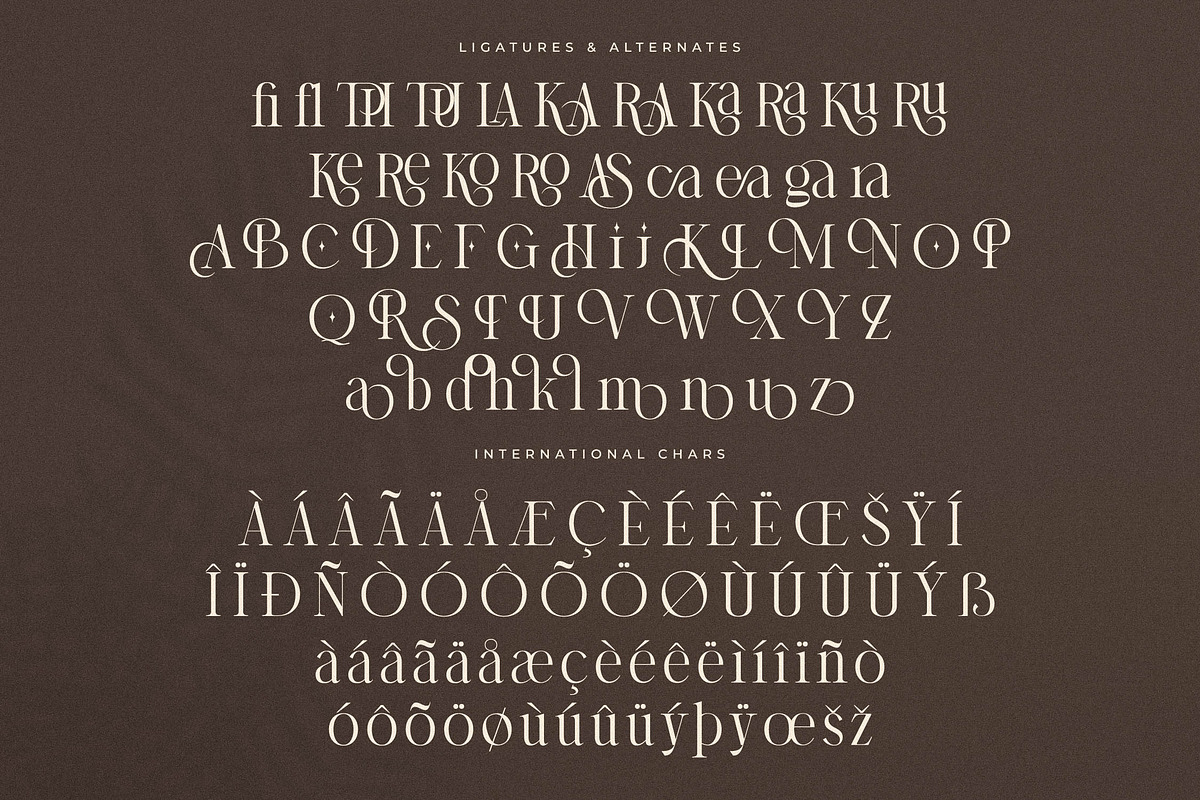 Storyline Regario Font Duo, a Serif Font by Storytype Studio (Photo 12 of 15)