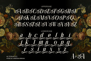 Nothina Mount Typeface, a Serif Font by alit design (Thumbnail 6 of 21)