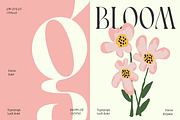 Pavon - 6 Tropic Family, a Serif Font by Dharmas Studio (Thumbnail 4 of 16)