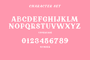 Howdy Mama - Western Font, Bold Font, a Slab Serif Font by ariodsgn (Thumbnail 2 of 6)
