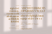 Climas Elegant Serif Font, a Font by Perfectype (Thumbnail 7 of 8)