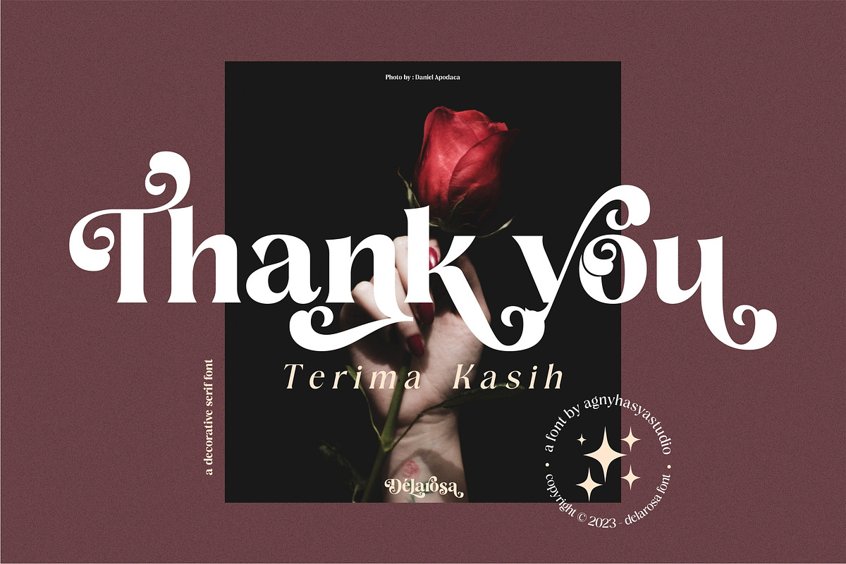 Delarosa - A Decorative Serif, a Serif Font by agnyhasyastudio (Photo 17 of 17)