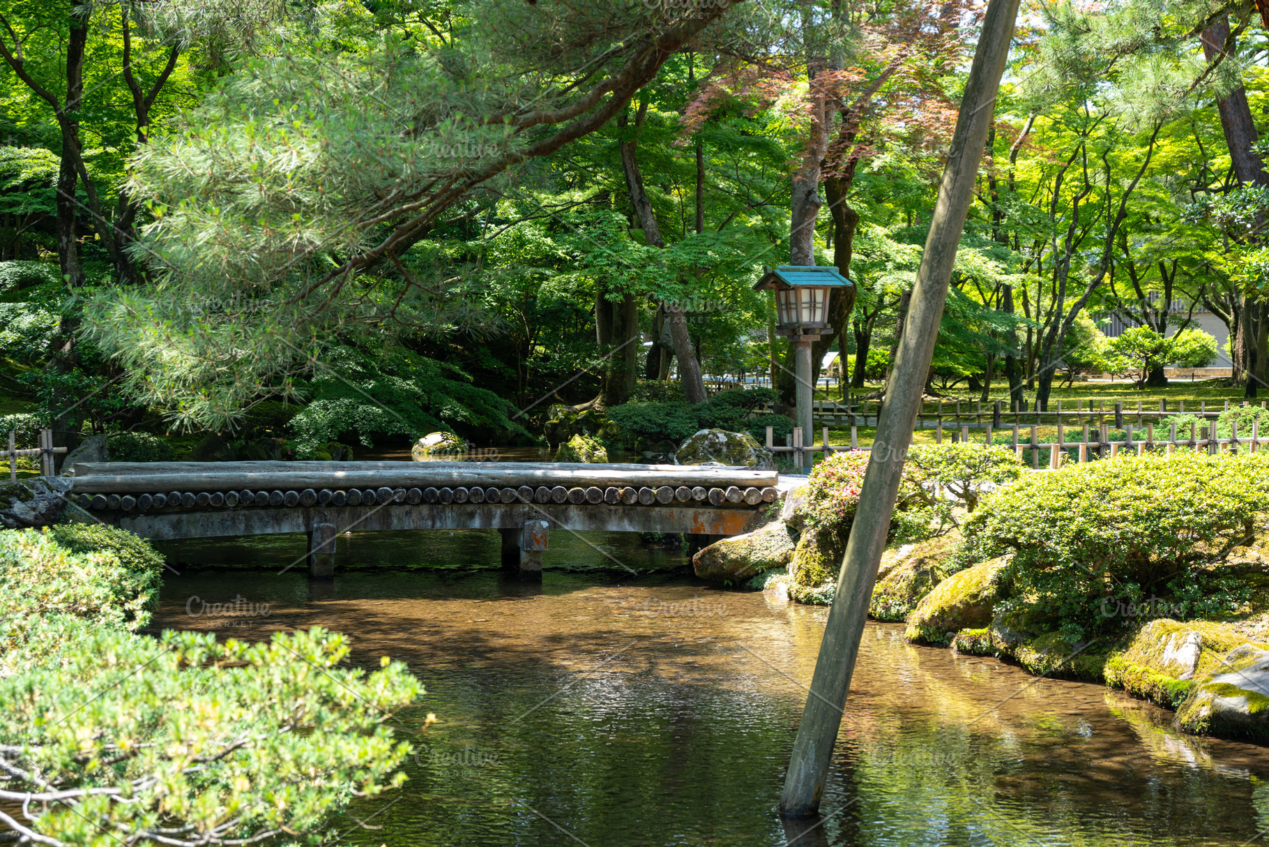 Peaceful stream and pine trees in Kenroku-en, Kanazawa, Japan, a Nature Photo by GoodGoods