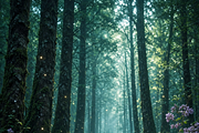 ETARA Mystical Mockup Pack, an Object Graphic by ETARA by Mea Hau (Thumbnail 59 of 60)