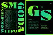 Glosta, a Serif Font by TRF Fonts (Thumbnail 17 of 18)