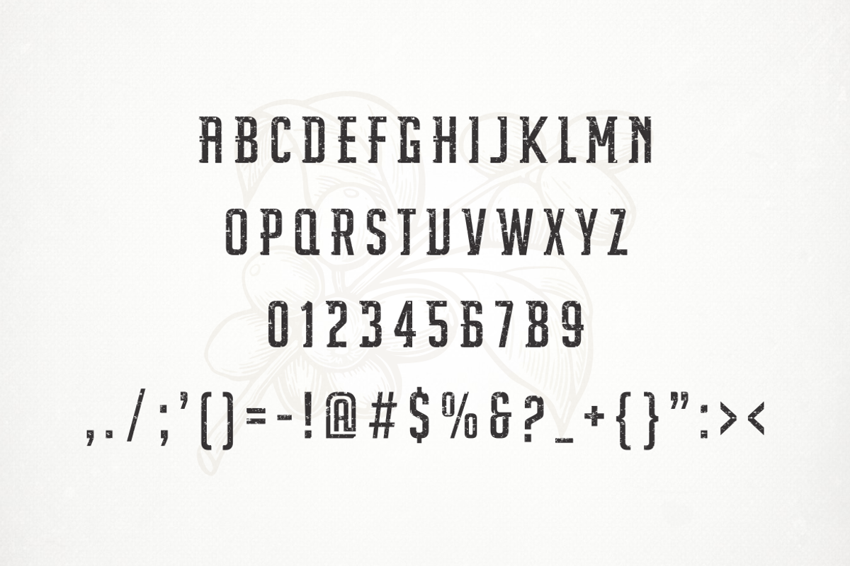 Darlothes, a Serif Font by albert_kalingga (Photo 5 of 5)