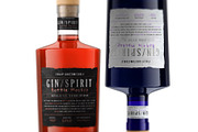 Gin/Spirit Bottle Mockup, a Product Mockup by HexenDesigns (Thumbnail 5 of 14)