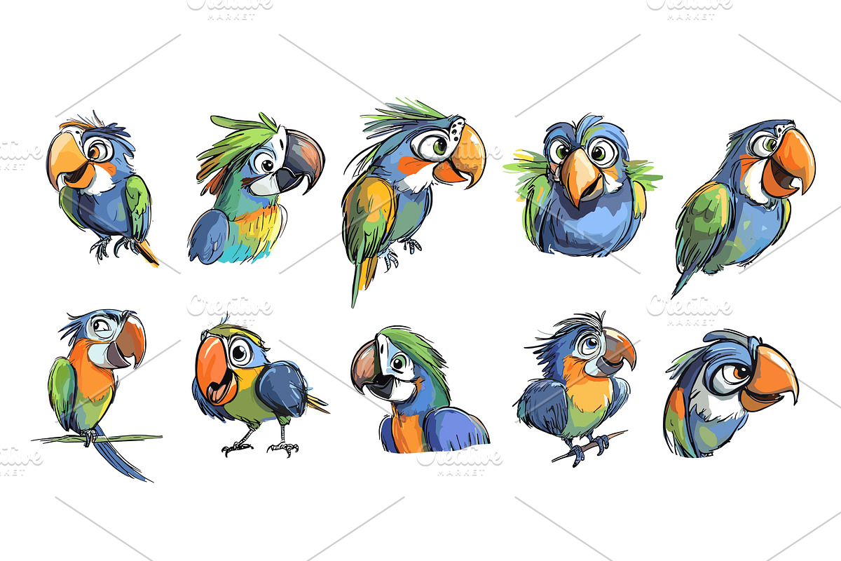 Parrots cartoon characters. Isolated, an Animal Illustration by Valerie Bodnar