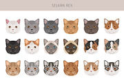 Selkirk Rex Cat, an Animal Illustration by pet design shop (Thumbnail 5 of 6)