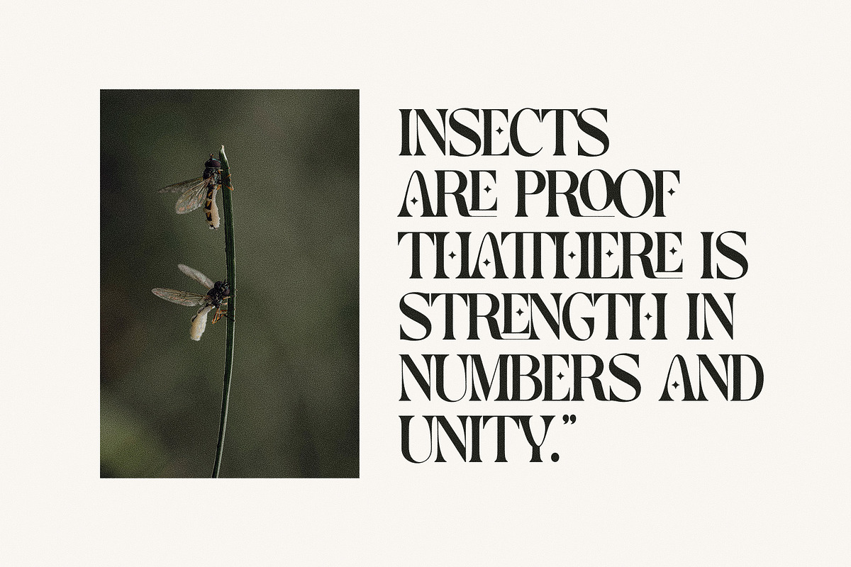Garden Elegant Ligature Serif Font, a Serif Font by Graphicxell (Photo 5 of 7)