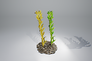 Kelp V2, an Environmental 3D Model by AndrewWhite (Thumbnail 11 of 12)