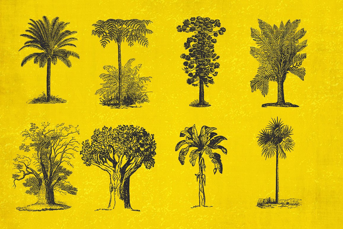 37 Vintage Tree Illustrations, an Object Graphic by AndrewPixel (Photo 2 of 8)