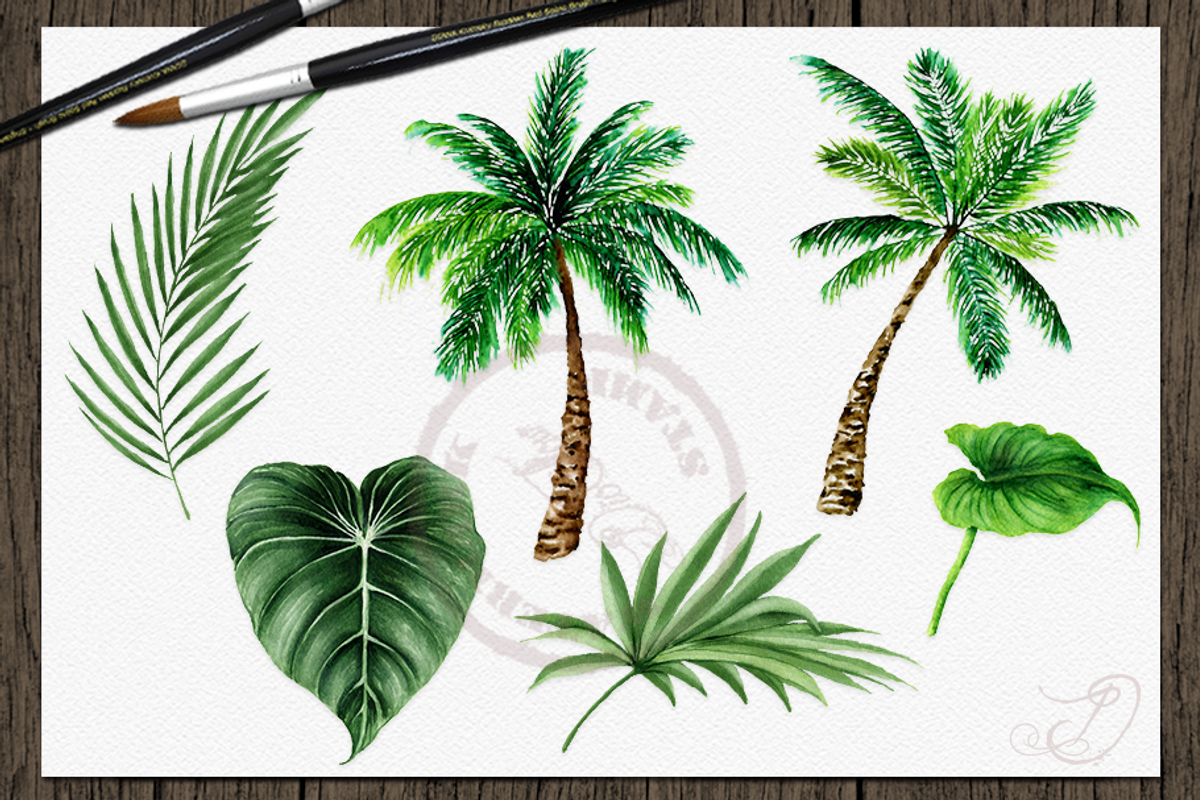 Hawaii Watercolor Illustration, a Decorative Illustration by DioFlow (Photo 4 of 6)