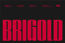 Brigold - Tall Font