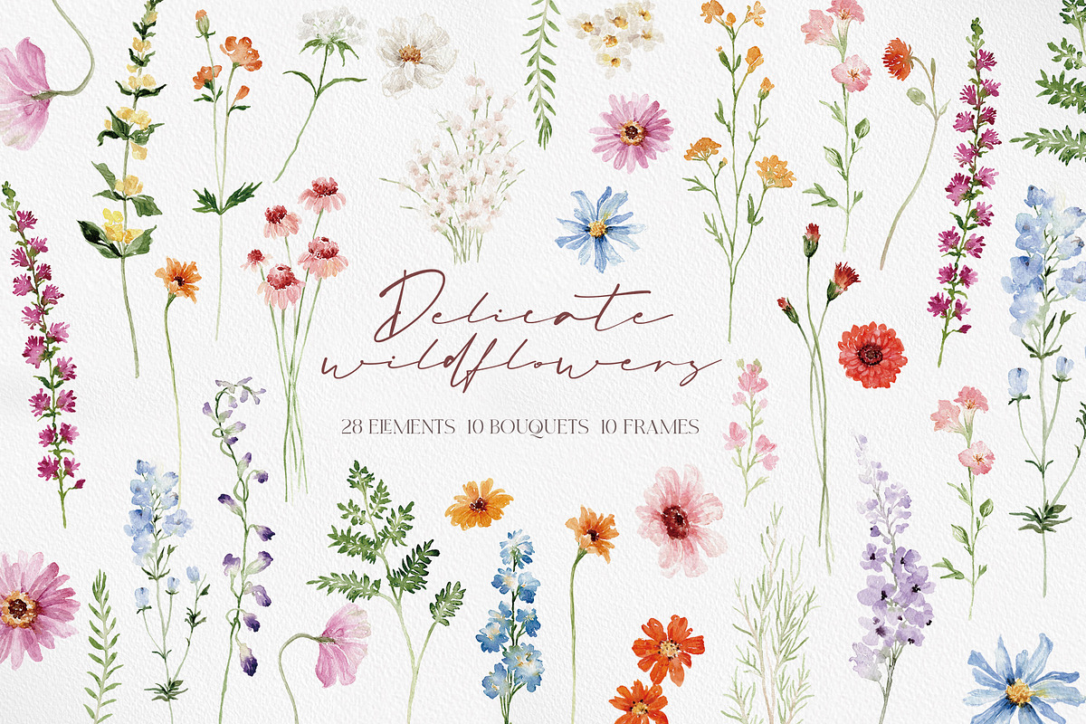 Delicate Wildflowers