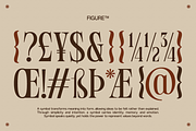 GC Polaire - Serif Display Condensed, a Serif Font by Glyphonic (Thumbnail 14 of 16)