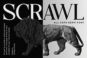 Scrawl - All caps serif font, a Serif Font by Almeera Std (Thumbnail 1 of 5)