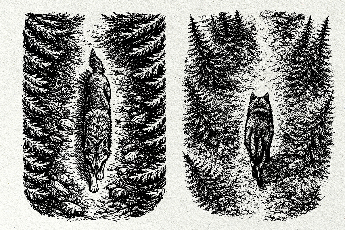 Wolf Wildlife Engraving Graphics, an Animal Illustration by DENIDigitalArtSudio (Photo 6 of 12)