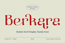 Berkara - Stylish Serif Display
