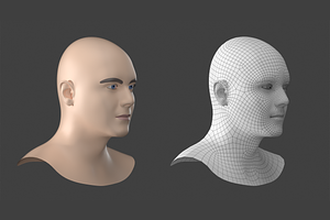 Natural Male Head 02 Generic Mesh