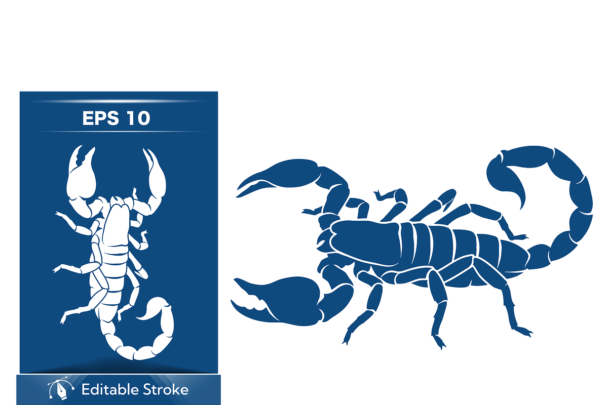 Stylized Scorpion Vector Art, an Object Illustration by CarWrap design (Photo 2 of 3)