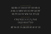 Amory Moist - Aesthetic Modern Font, a Serif Font by Fype Co. (Thumbnail 5 of 5)