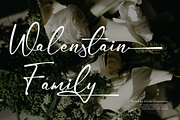Gamlowfei | Elegant Signature, a Script Font by Denustudios (Thumbnail 8 of 12)