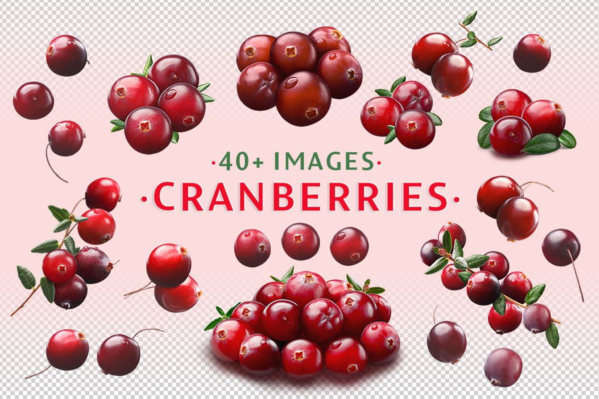 Cranberries—46 images, an Object Graphic by Hortimages (Photo 1 of 8)