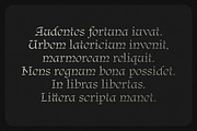 Regnio, a Blackletter Font by DKType Foundry (Thumbnail 17 of 19)