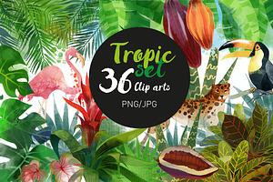 Tropic set