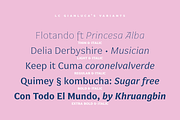 LC Gianluca, a Serif Font by CTCH (Thumbnail 8 of 15)