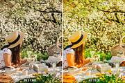 10 SPRING NATURE Lightroom Presets, a Preset Add-On by MaPresets (Thumbnail 16 of 17)
