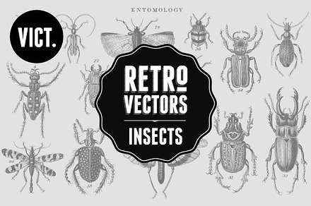 Vintage Insects