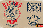 BOXING, an Animal Illustration by Artistic & Unique (Thumbnail 5 of 9)