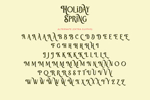 Holiday Spring - Display Serif Font