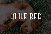 Little Red, a Sans Serif Font by OnTheSpotStudio (Thumbnail 1 of 3)