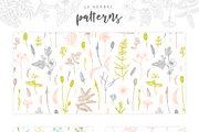 Herbalitica Vol.2 Flower Set, a Healthcare Illustration by eclosque (Thumbnail 4 of 12)