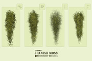 Spanish Moss Photoshop Brushes, a Brush Add-On by Mohamed Saber (Thumbnail 3 of 5)