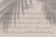 Marseille & Amsterdam Font Duo, a Serif Font by SilverStag Type Foundry (Thumbnail 17 of 19)