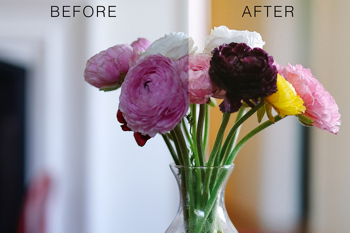 Classic Film - Lightroom Presets, a Plug-in Add-On by Jayson Photos (Photo 2 of 7)