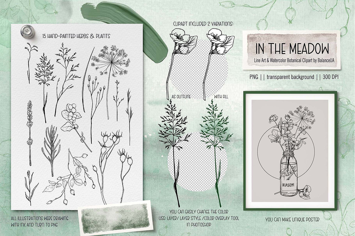Wildflower Line Art Clipart, a Decorative Illustration by BalanceUA (Photo 4 of 18)