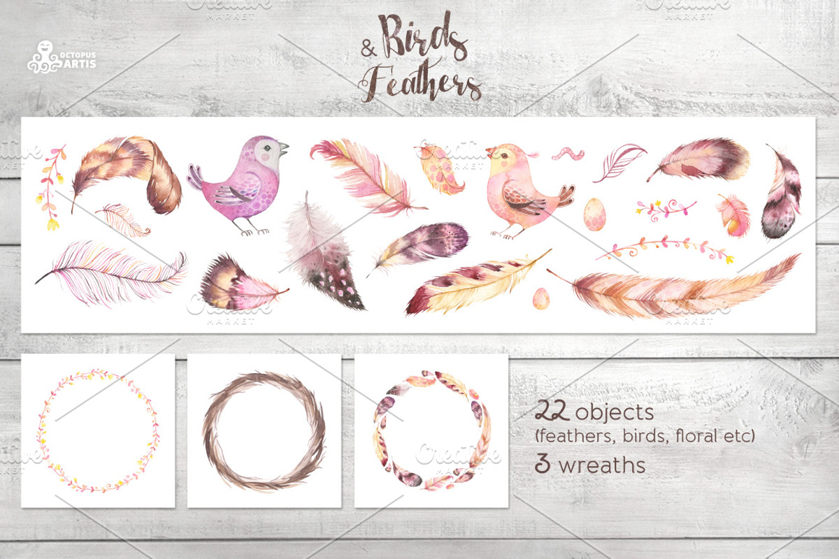 Birds & Feathers collection, an Illustration by OctopusArtis (Photo 3 of 4)