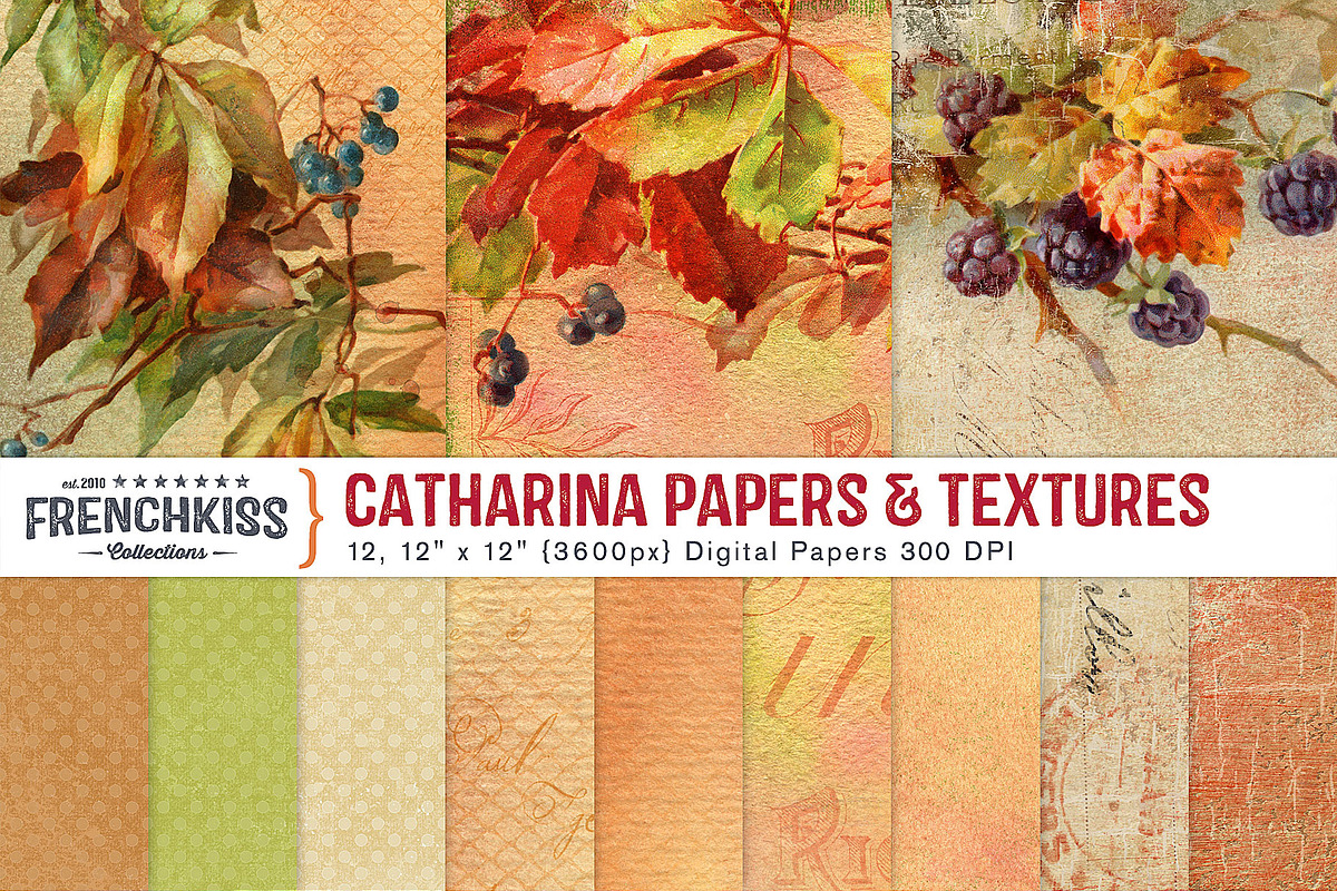 Catharina Papers and Textures, a Texture Graphic by French Kiss Collections (Photo 1 of 3)