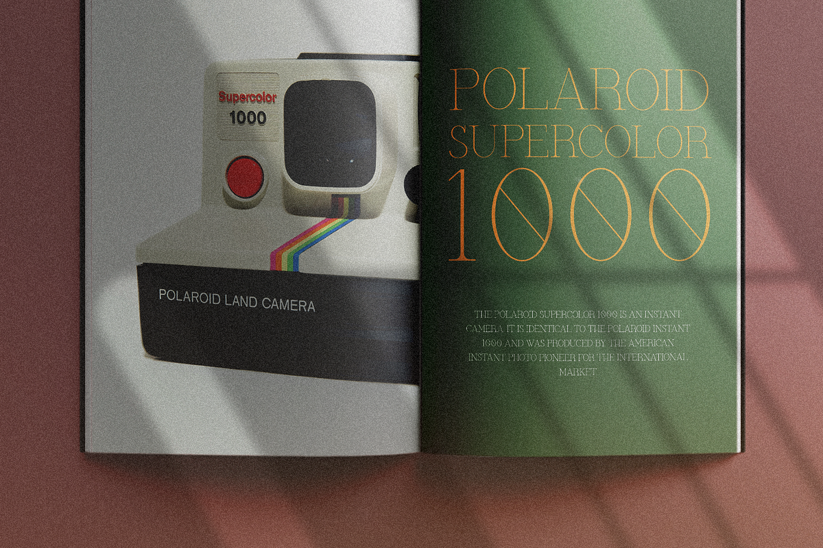 TwoOne, a Serif Font by FactoryType Studio (Photo 9 of 14)