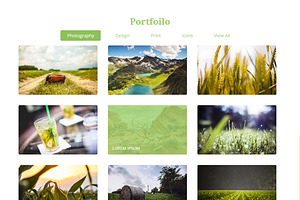 50% OFF - Spring - CV & Portfolio